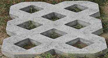 Grass Pavers